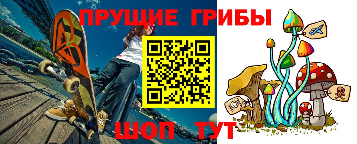 Псилоцибиновые грибы GOLDEN TEACHER Клинцы